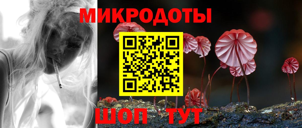 закладки  Вход с VPN  Унеча  Псилоцибиновые грибы Cubensis 